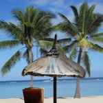 35602901-stand-sun-sea-palm-beach-chair-so-one-imagines-a-tax-haven